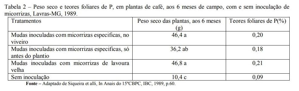 Procafé - Fósforo no solo 3