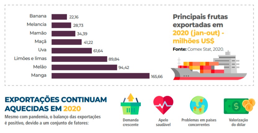 exportações hortifruti cepea 2020