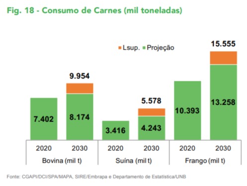 projeção mapa consumo carnes 2020 2030