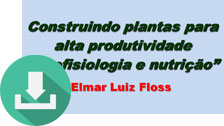DW - Apresentacao Elmar- Apsul