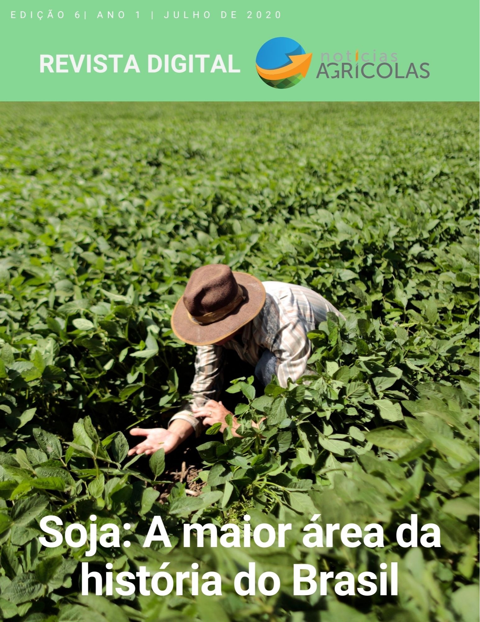 revista 7