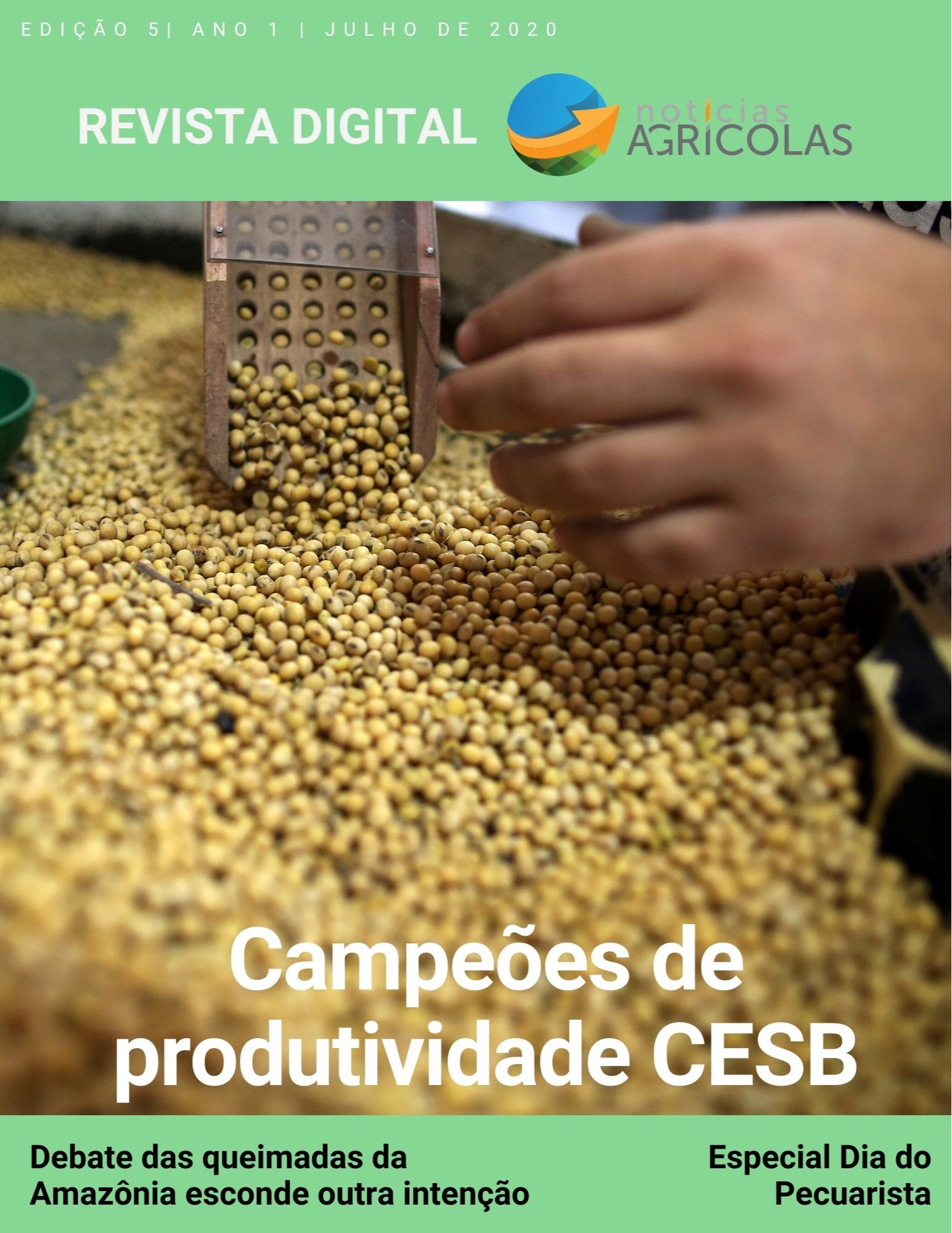 revista digital 5