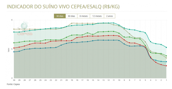 indicador suino vivo cepea