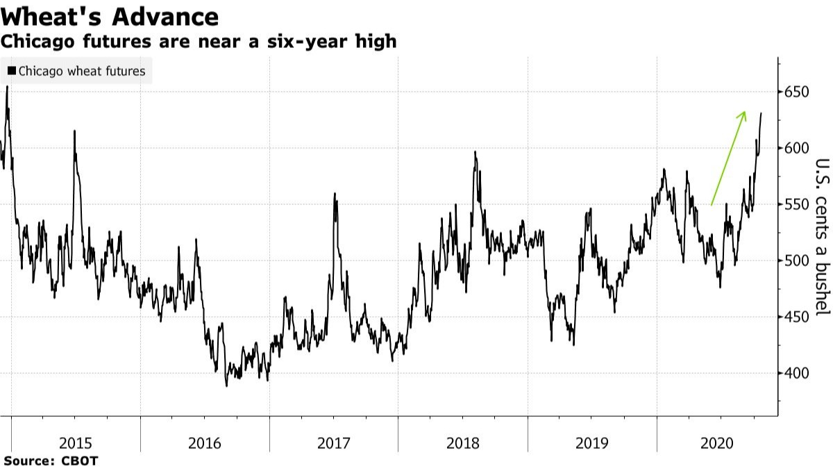 Mercado do trigo - Gráfico Bloomberg