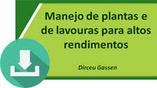 DW - Apresentacao Dirceu - Apsul