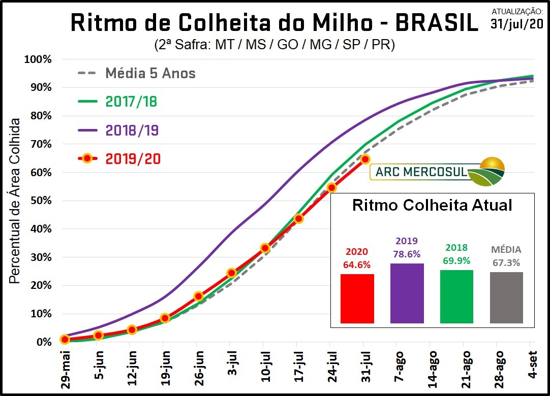 Colheita safrinha de milho - ARC Mercosul
