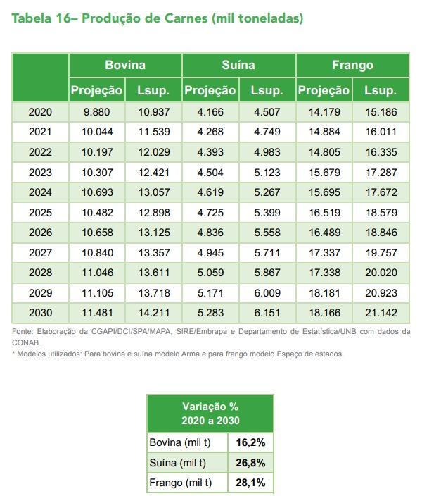 produção de carnes mapa projeção 2020 2030