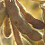 Soja CME - B3 (Pregão Regular)