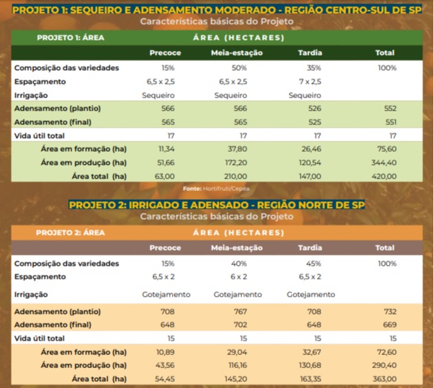 cepea hortifruti citros citrus custos de produção safra