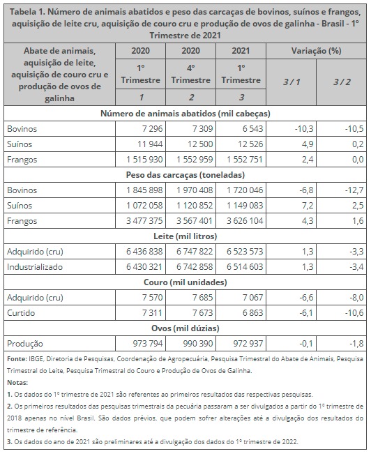 Trimestrais da pecuária - primeiros resultados: cai o abate de bovinos e cresce o de suínos e de frangos no 1º trimestre de 2021