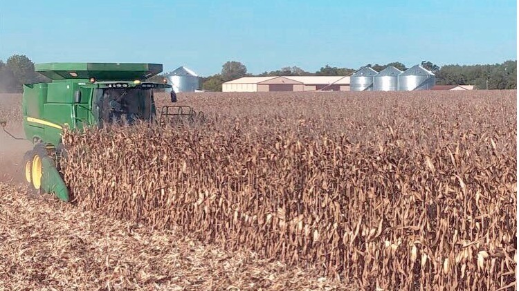 Colheita Indiana