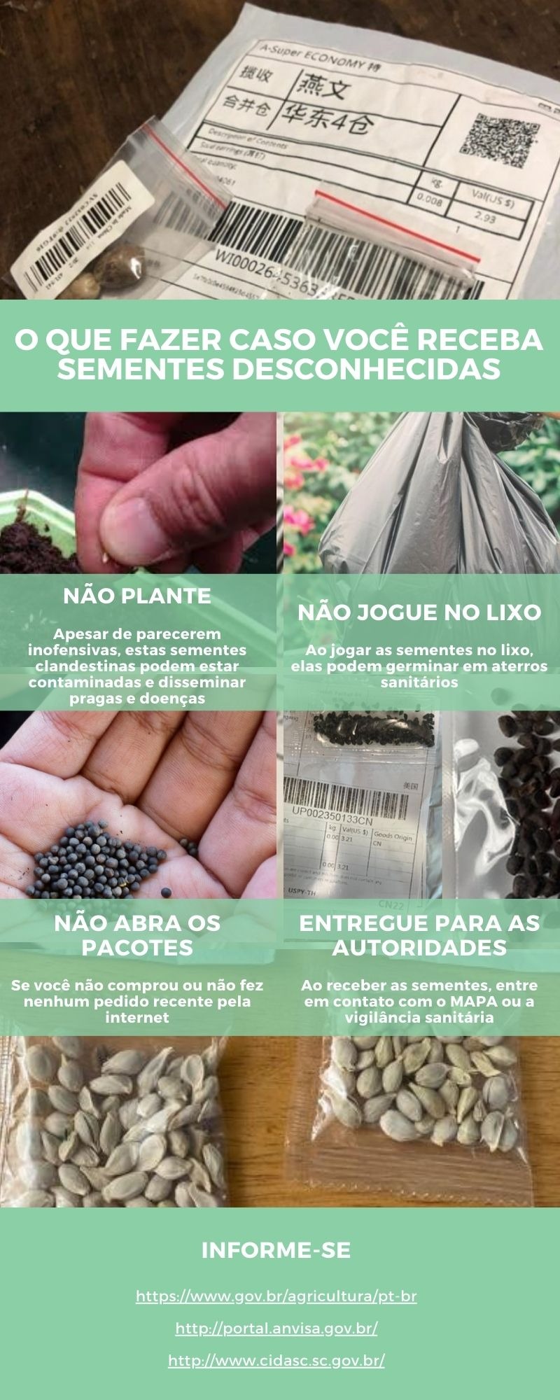 infografico 2