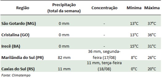 cenoura cepea chuva