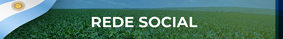 Redes Sociais