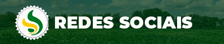 Redes Sociais