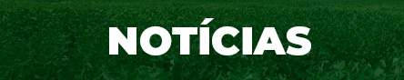 Notícias