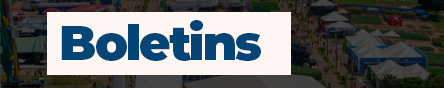 Boletins
