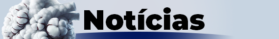 Notícias