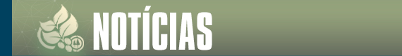 Notícias