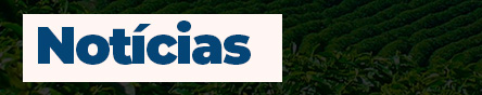 Notícias
