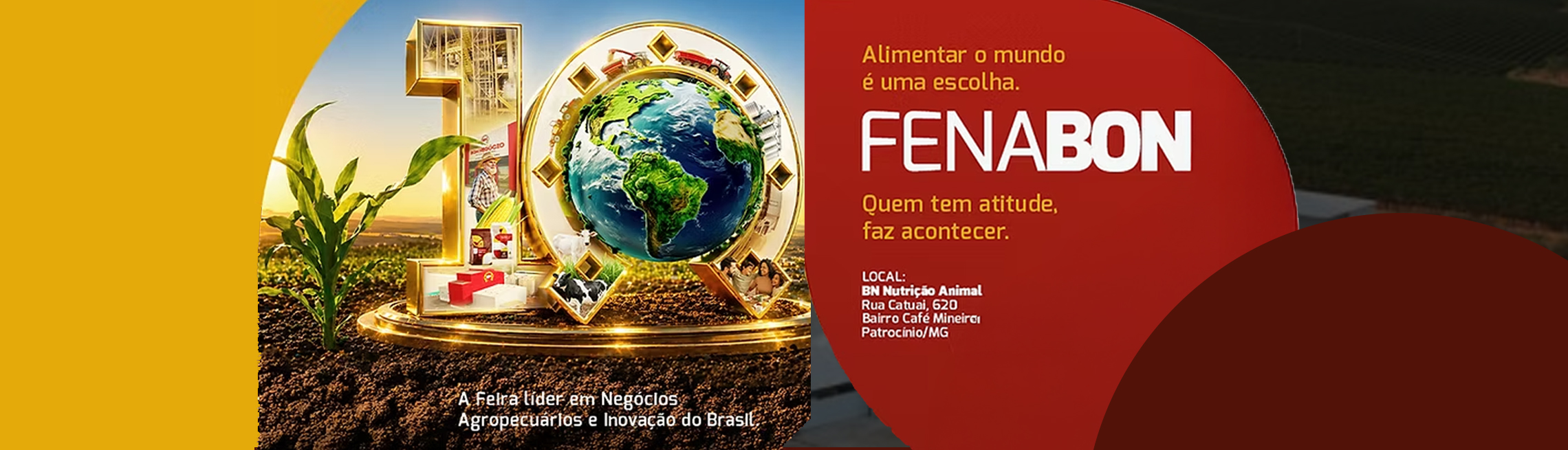 10ª Fenabon