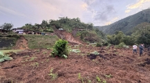 Área de café afetada pelo terremoto na Colômbia