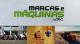 Plantio direto na palha consorciado com a braquiara aumenta a produtividade e a homogeneidade da lavoura