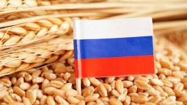 Exportações de trigo da Rússia devem cair em agosto ao nível mais baixo desde 2016/17