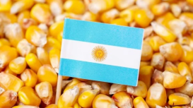 Exportações de milho da Argentina batem recorde em julho, diz bolsa