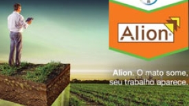 Lançamento Alion - Bayer