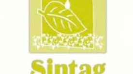 IX Sintag