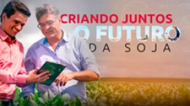 Manejo de plantas daninhas