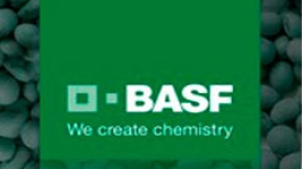 Semear - Basf