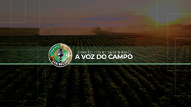 6º Seminário A Voz do Campo