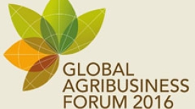 GAF 2016