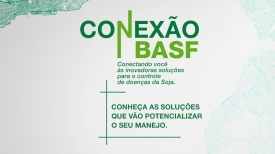 Conexão BASF - Nova Mutum/MT