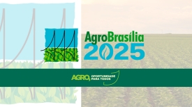 AgroBrasília 2025