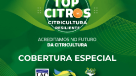 Top Citros