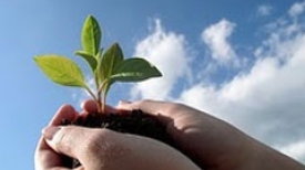 Votação do Novo Código Ambiental