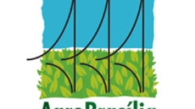 AgroBrasília 2019