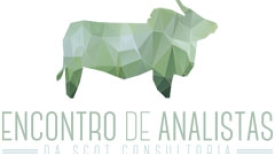 Encontro de Analistas - Scot Consultoria
