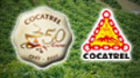 Cocatrel - 50 anos