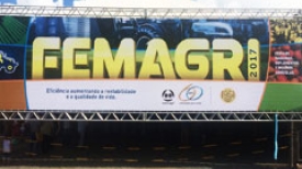 Femagri - 2017