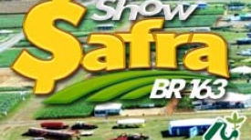 Show Safra BR 163
