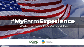 My Farm Experience