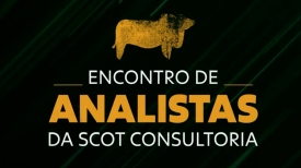 Encontro de Analistas da Scot Consultoria