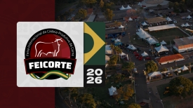 Feicorte 2026