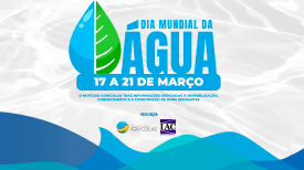 Dia Mundial da Água - 2025