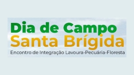 Dia de Campo Santa Brígida