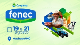 Fenec 2025
